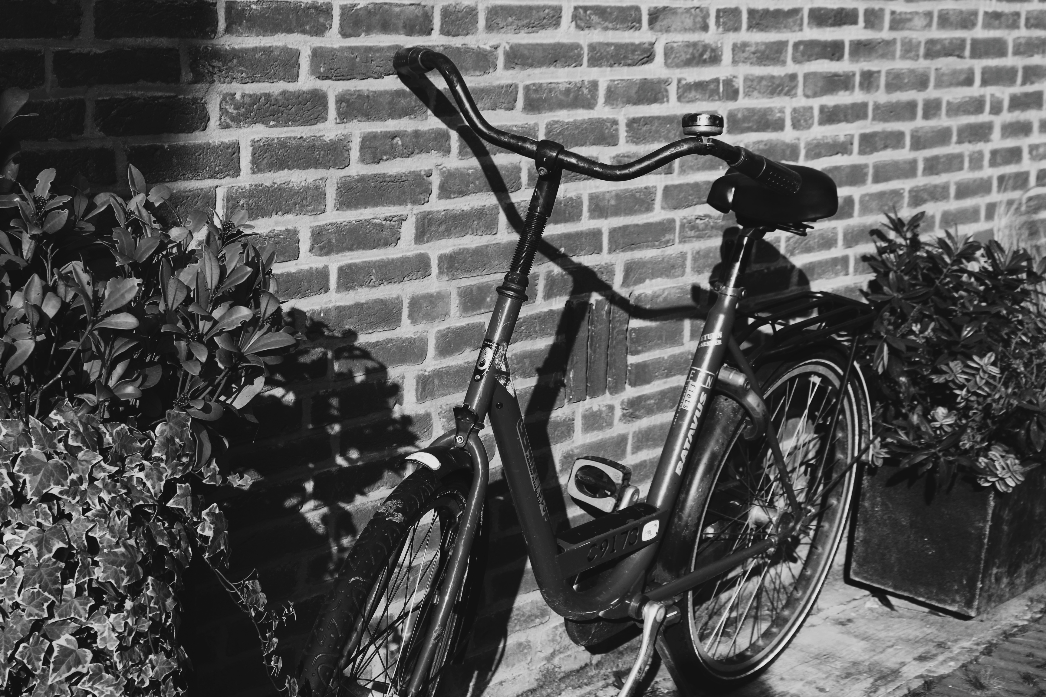 sunny autumn day VII