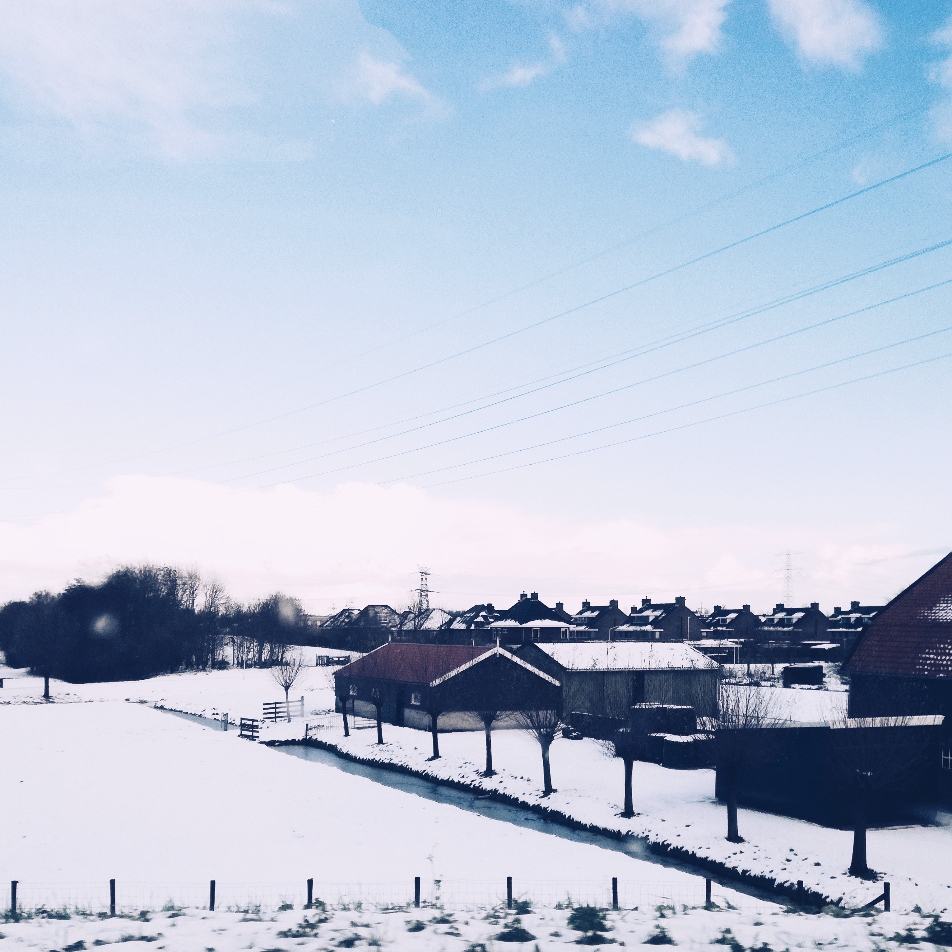 winter wonderland II