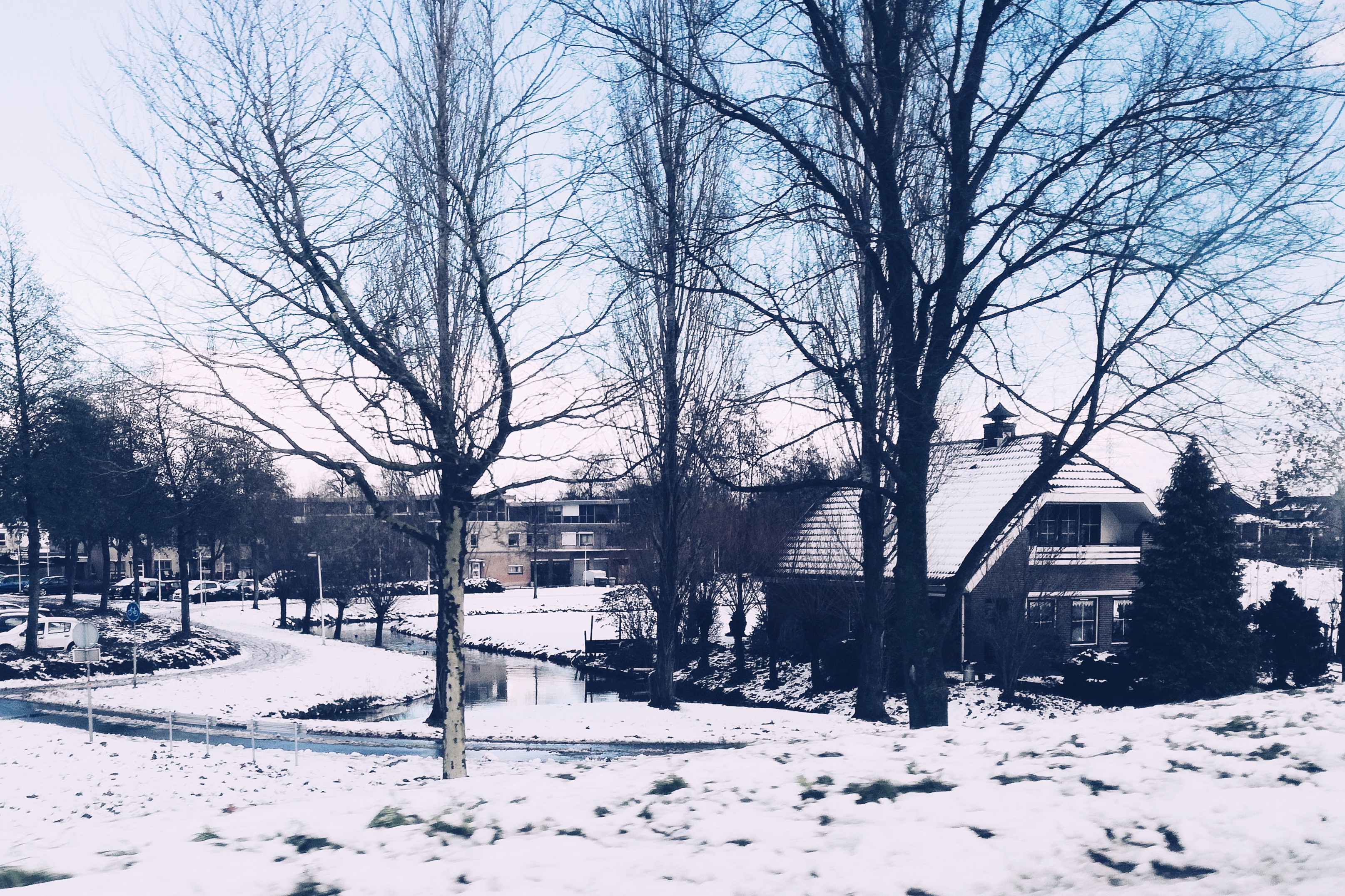 winter wonderland III