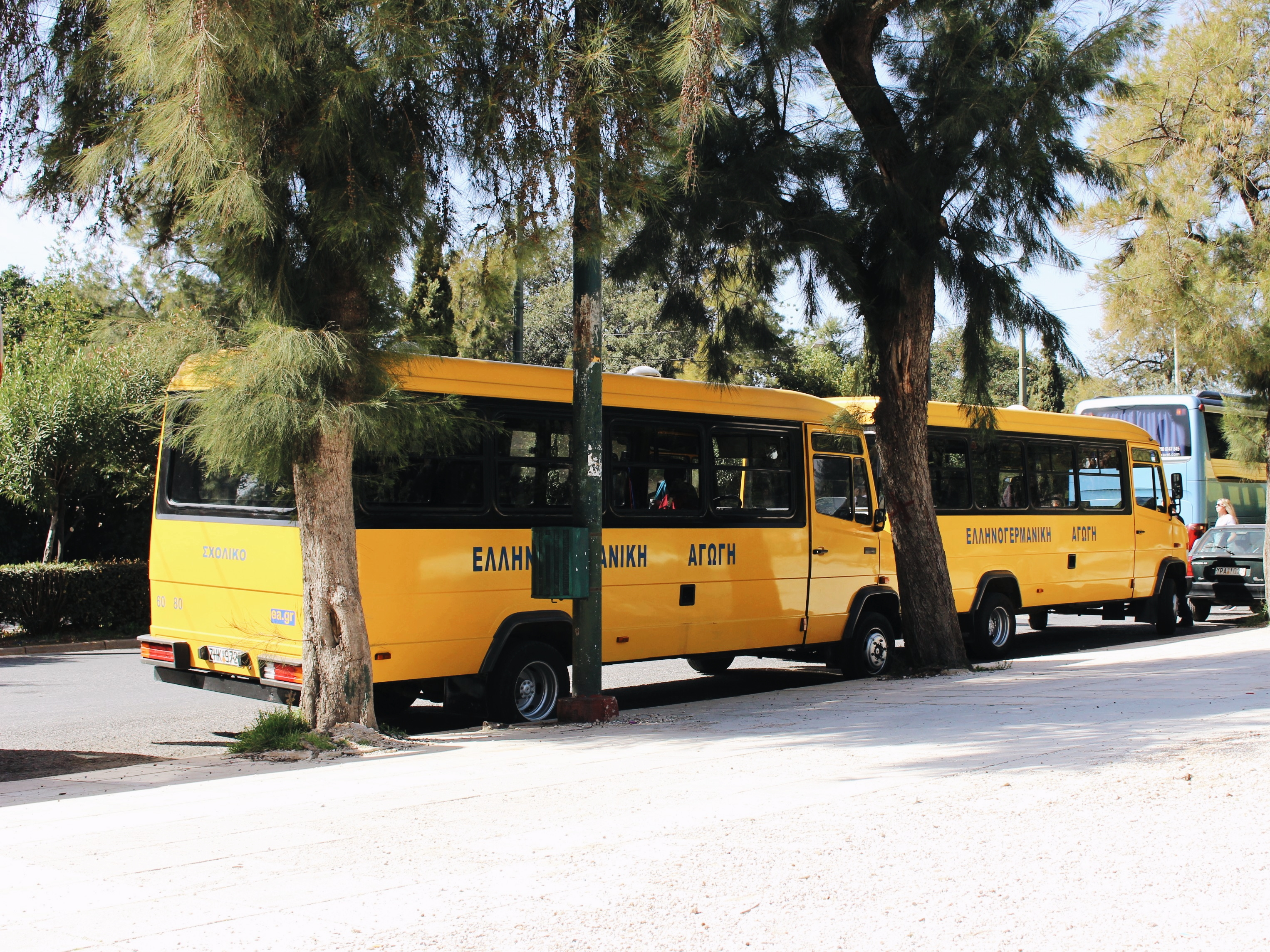 athene speurtocht III