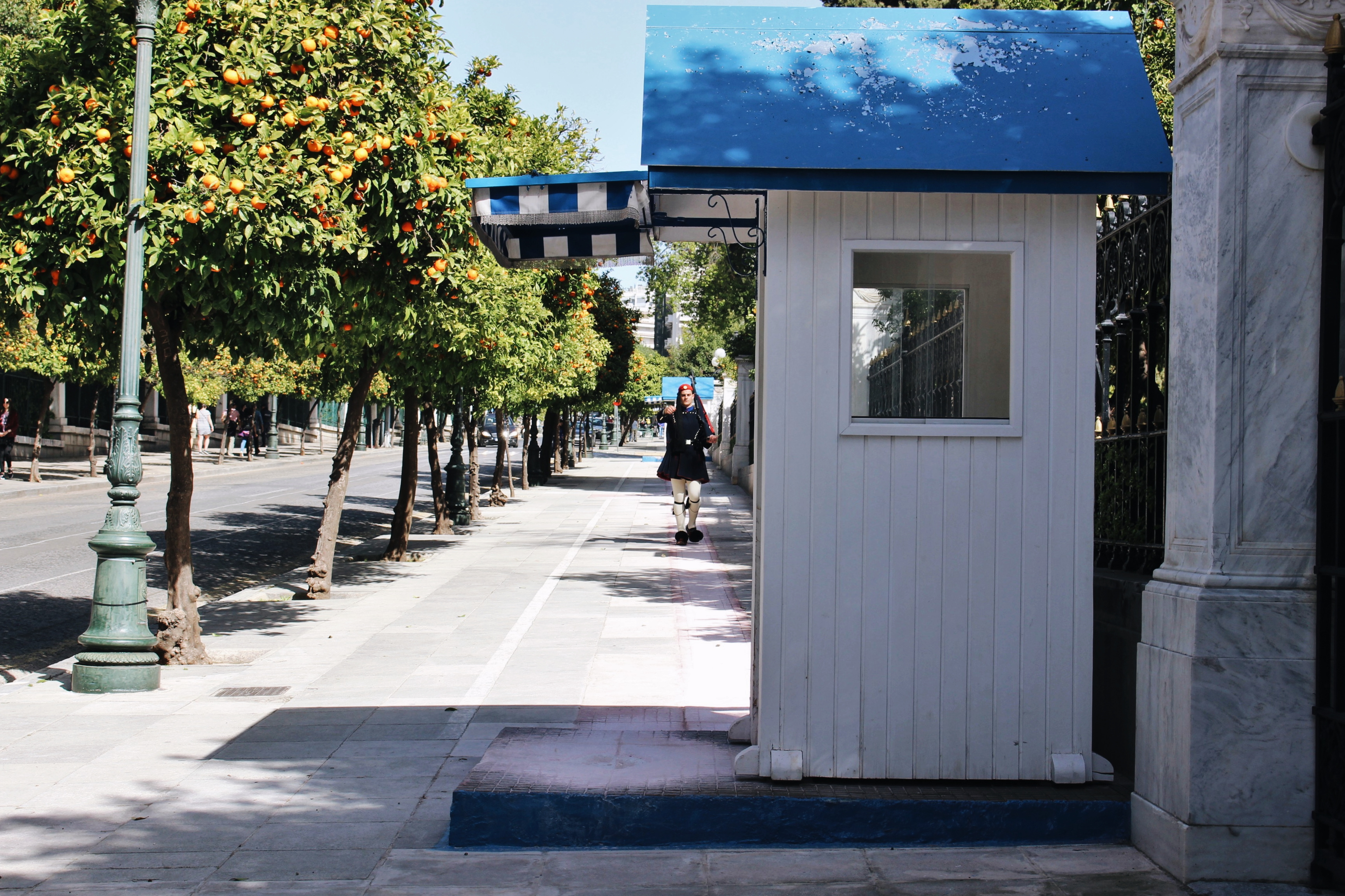 athene speurtocht IV