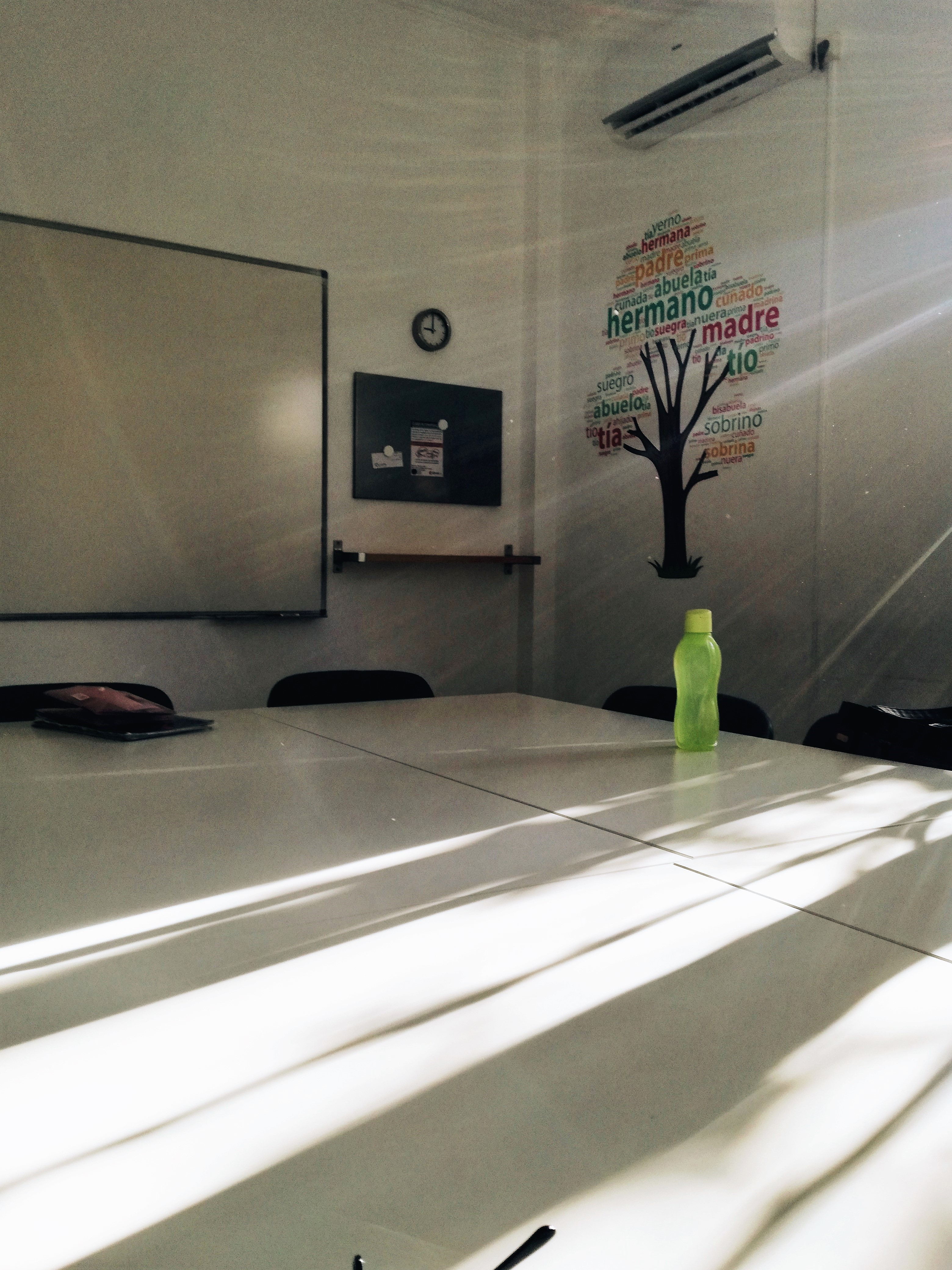 taalcursus Malaga Cervantes