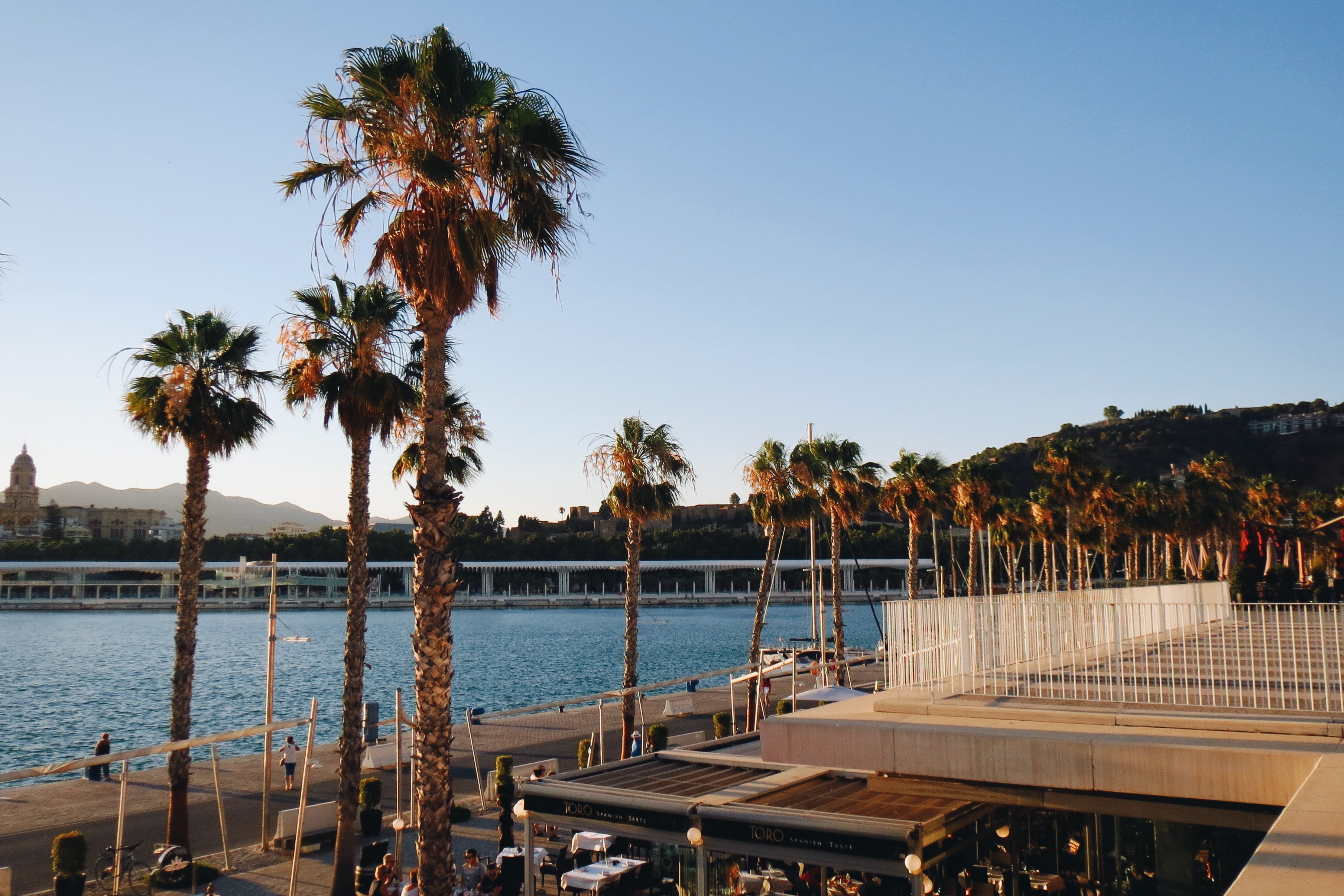 taalcursus Malaga boulevard