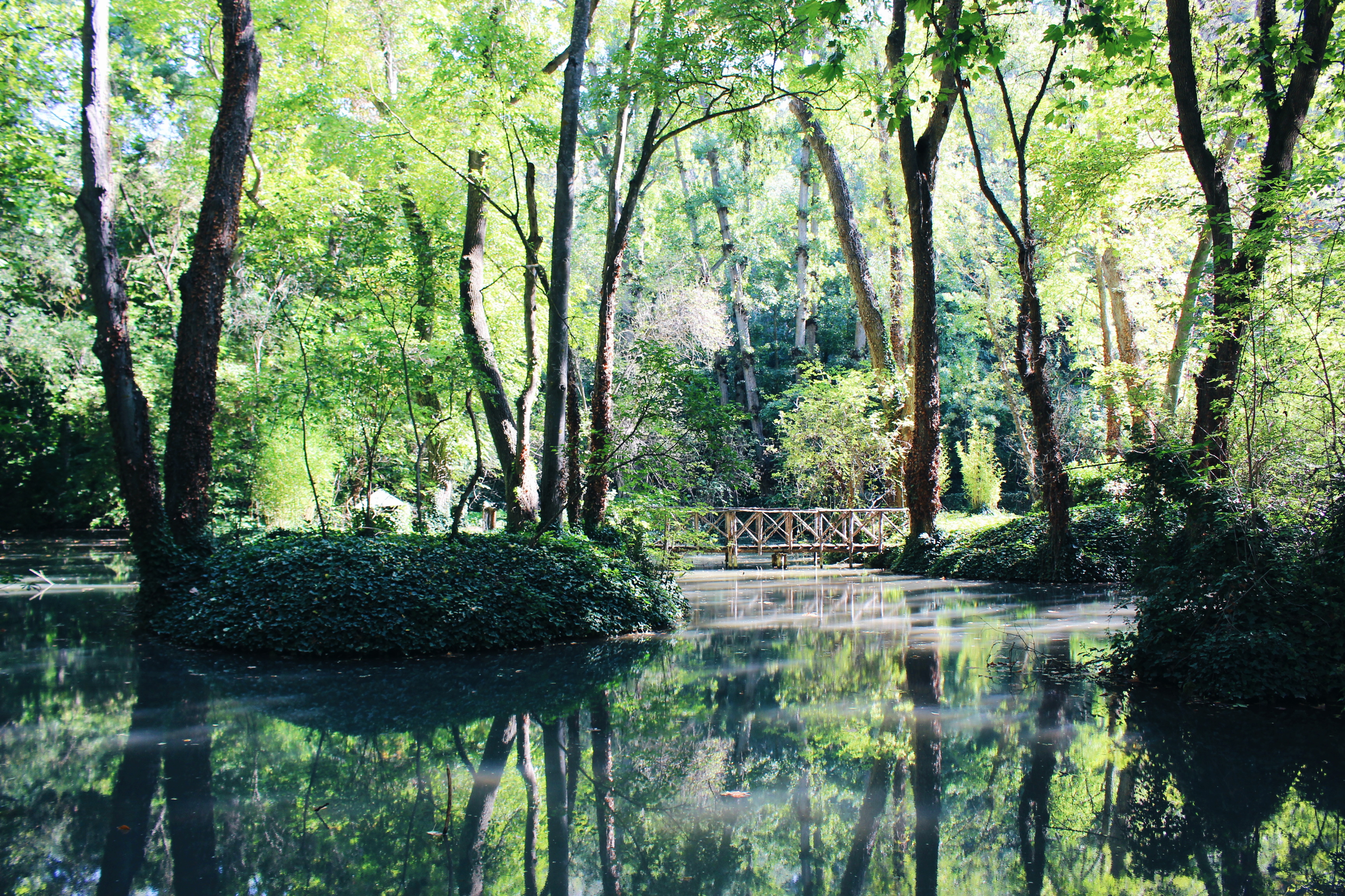 monasterio de piedra Zaragoza I